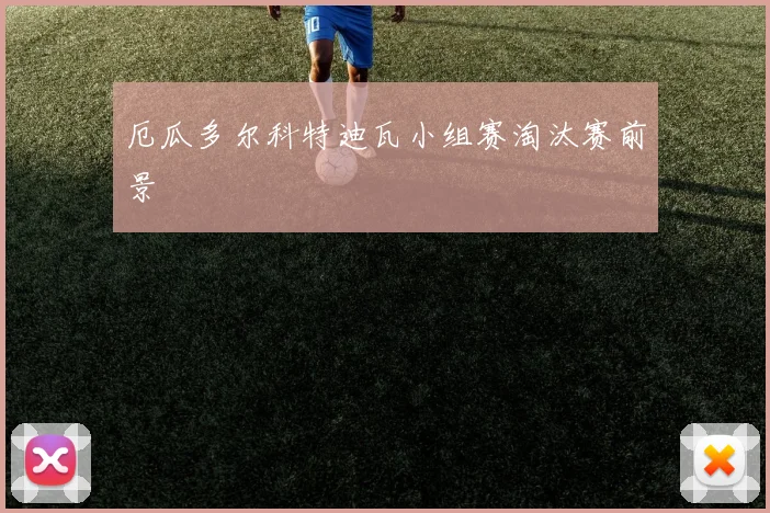 厄瓜多尔科特迪瓦小组赛淘汰赛前景