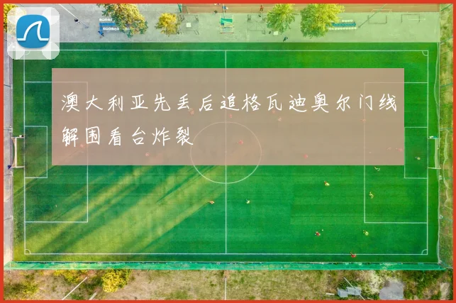 澳大利亚先丢后追格瓦迪奥尔门线解围看台炸裂