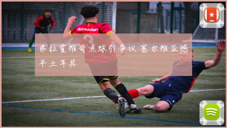 弗拉霍维奇点球引争议 塞尔维亚憾平土耳其