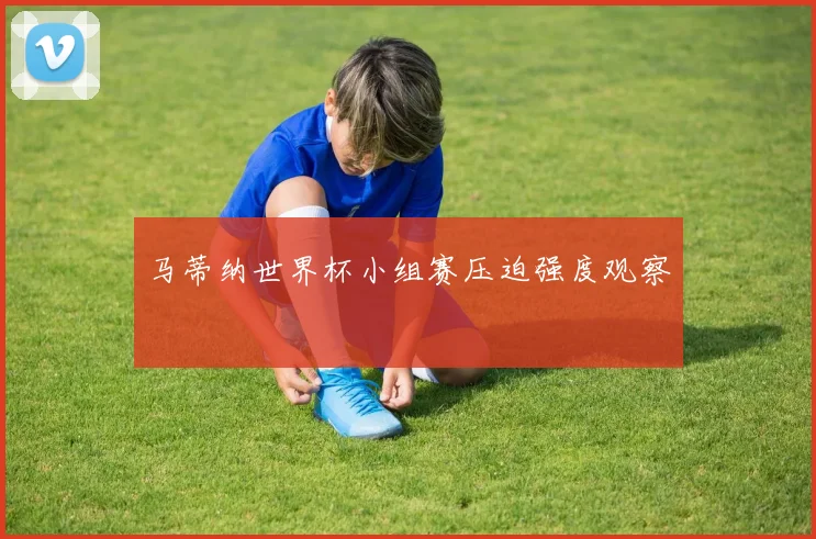 马蒂纳世界杯小组赛压迫强度观察