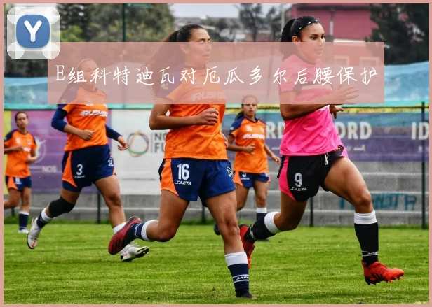 E组科特迪瓦对厄瓜多尔后腰保护