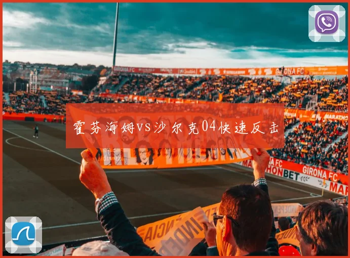 霍芬海姆vs沙尔克04快速反击