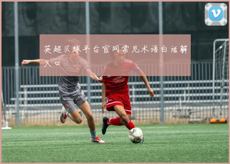 英超买球平台官网常见术语白话解入口