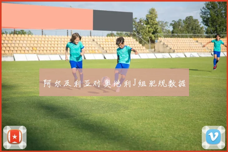 阿尔及利亚对奥地利J组犯规数据