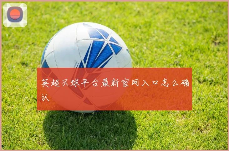 英超买球平台最新官网入口怎么确认